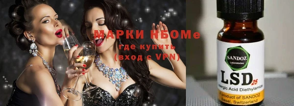 мдпв Богданович