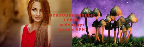 MDMA Premium VHQ Бронницы